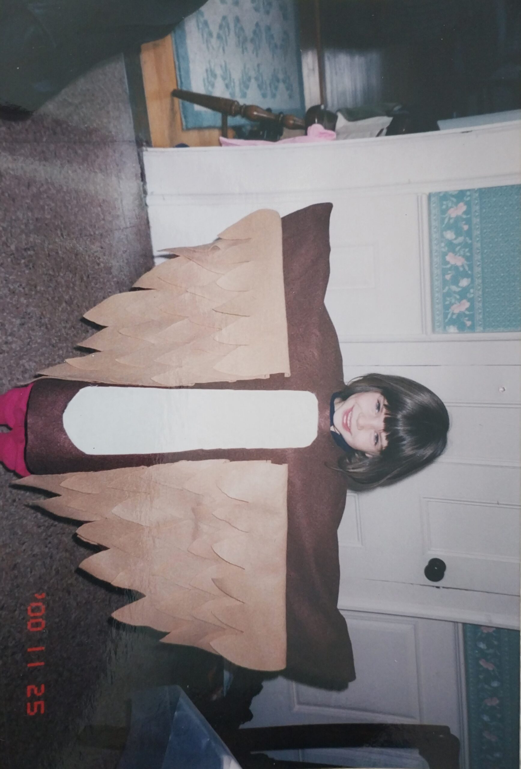 A young child stands indoors wearing a homemade brown and tan bird costume with outstretched wings, smiling at the camera.